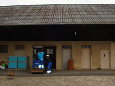 DSC04705
