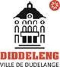 logo diddeleng